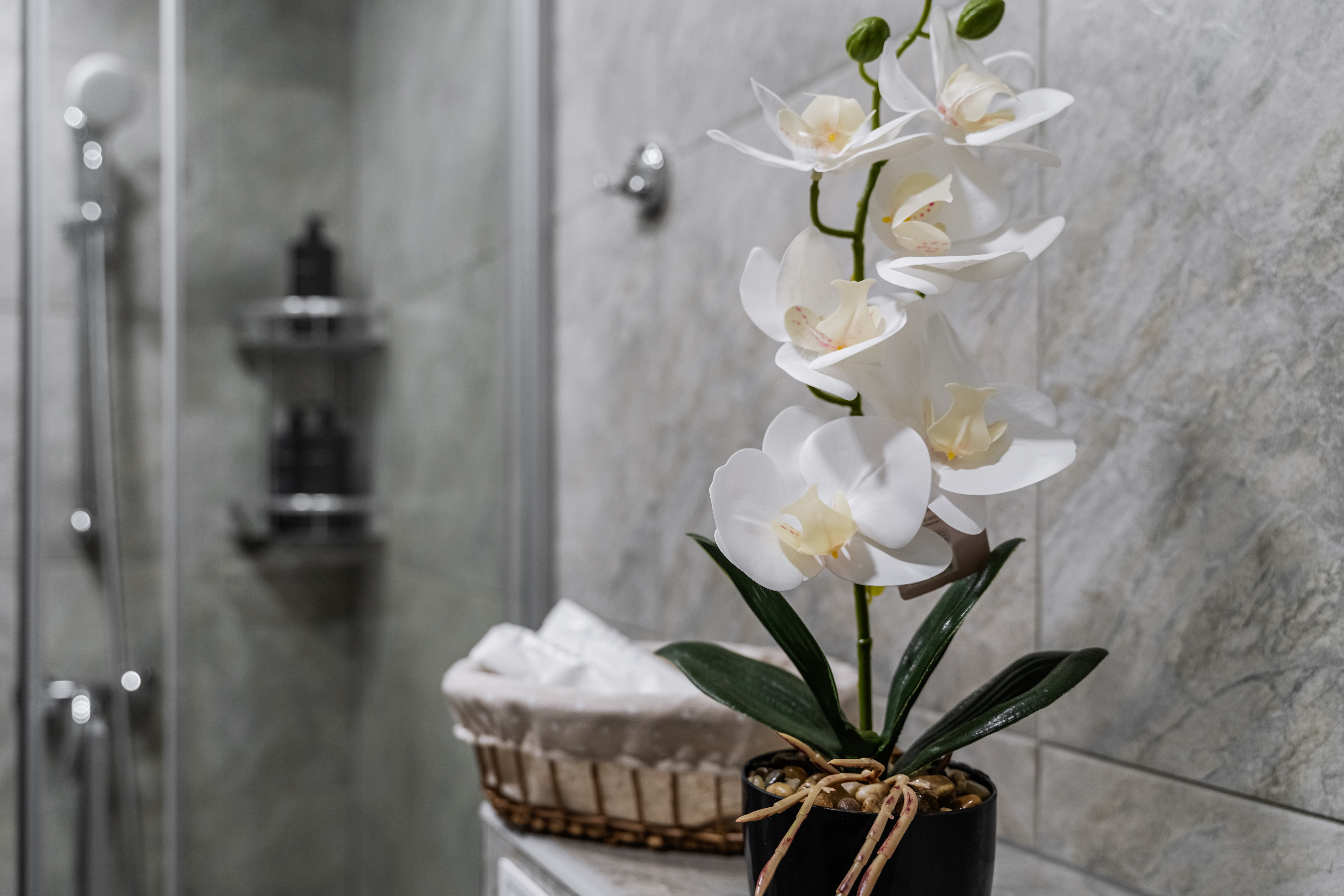Blumen im Badezimmer